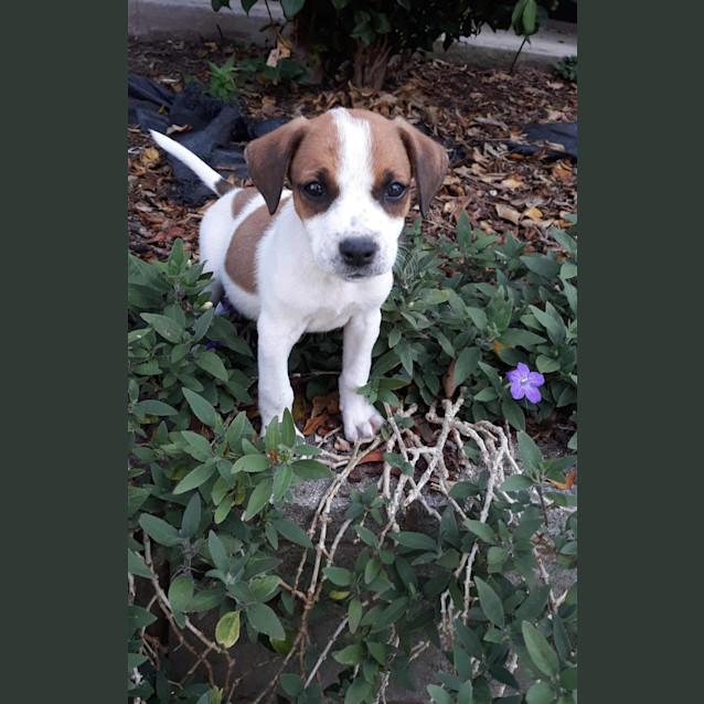 Photo of Matilda