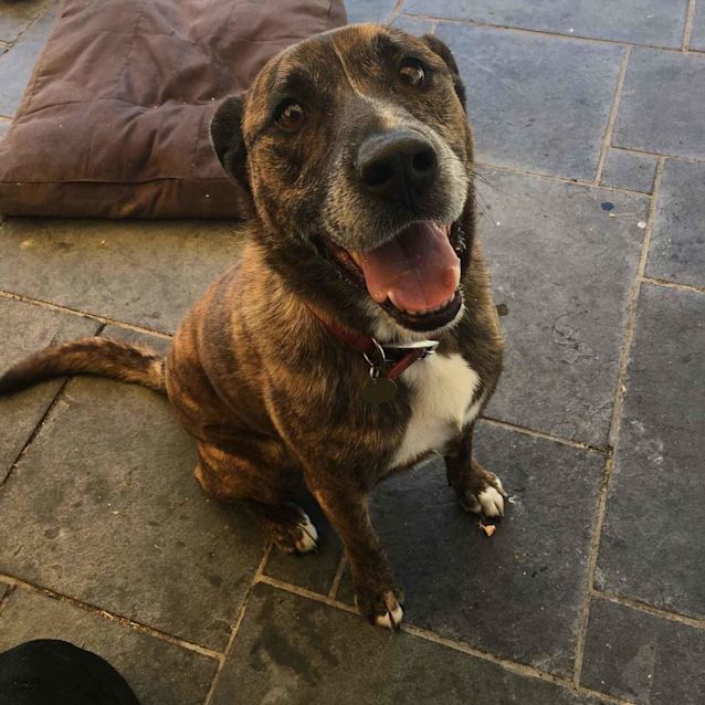 Photo of Frankston