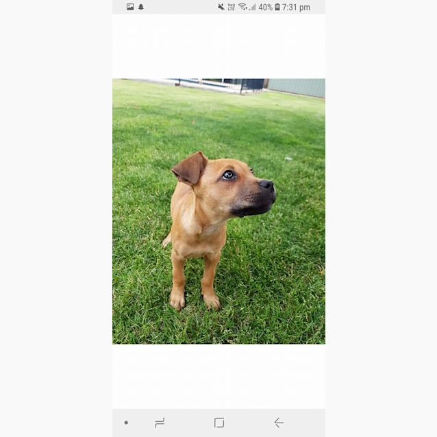 Photo of Jess