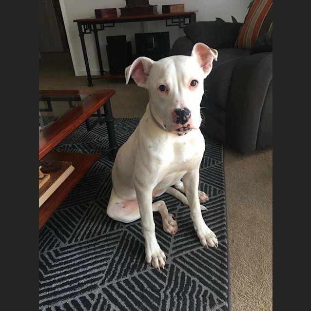 Photo of Lyla