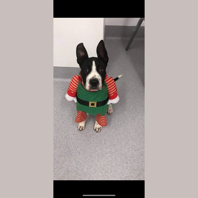 Photo of Bob