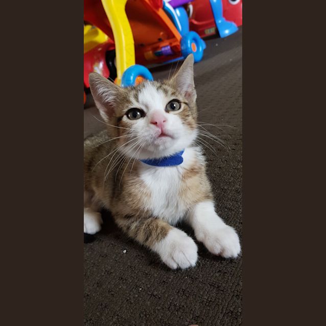 Photo of Merri