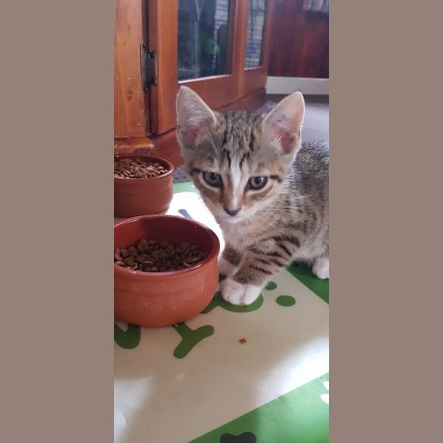Photo of Selene