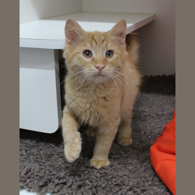 Photo of Jace