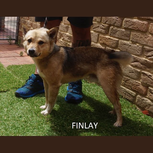Photo of Finlay