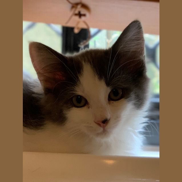 Photo of Gladys