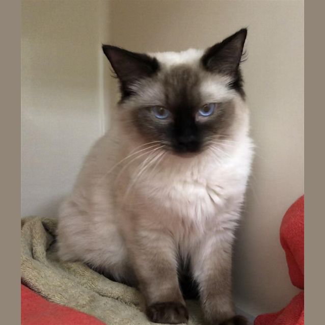 Photo of Zeus