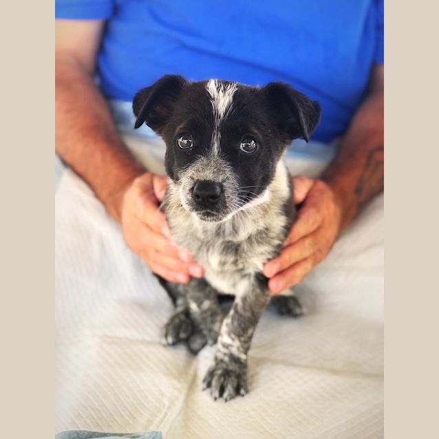 Photo of Lilo