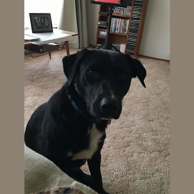 Photo of Max