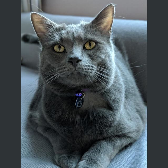 Photo of Misha