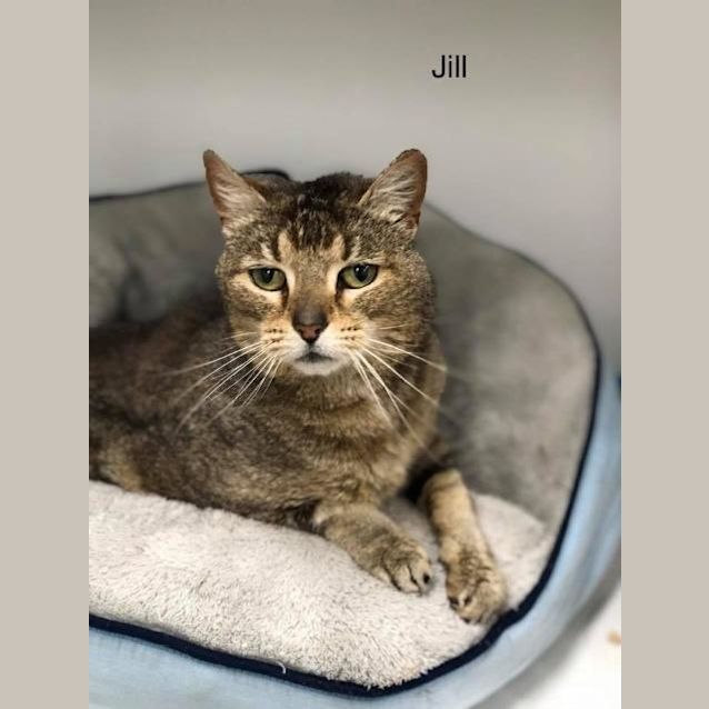 Photo of Jill