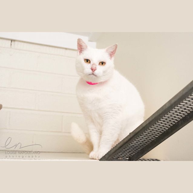 Photo of Lady (4462)