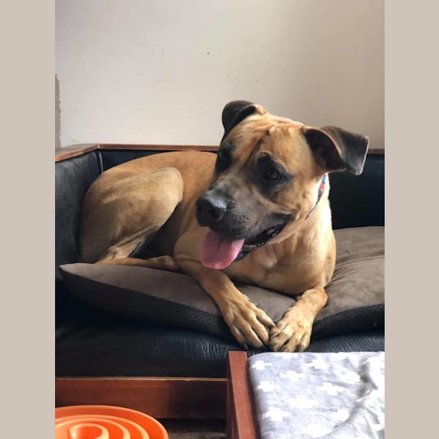 Photo of Powelly