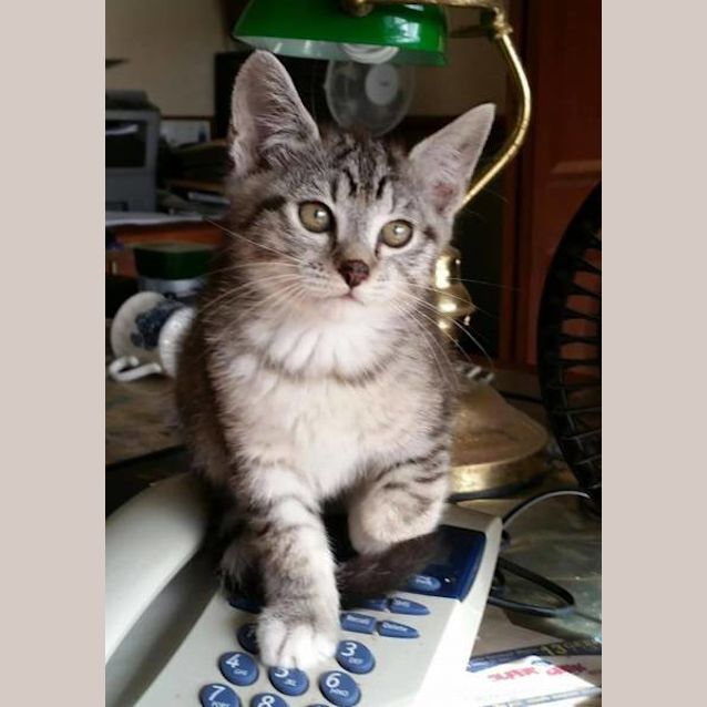 Photo of Monty Zoomer
