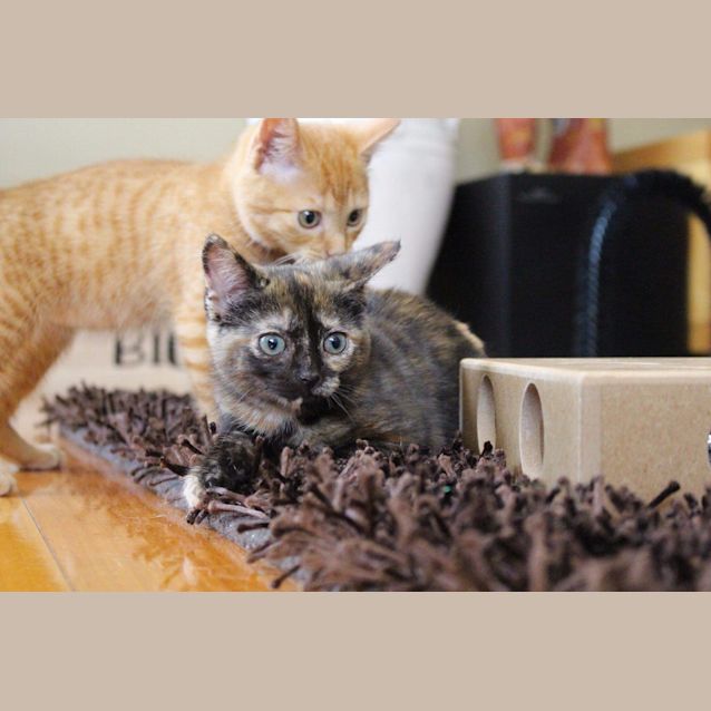 Photo of Betty And Barney 