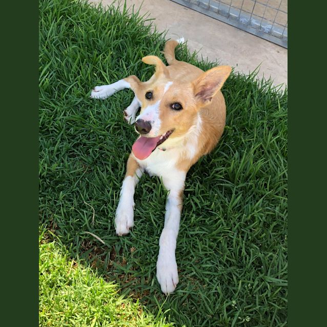 Photo of **On Trial** Lexie