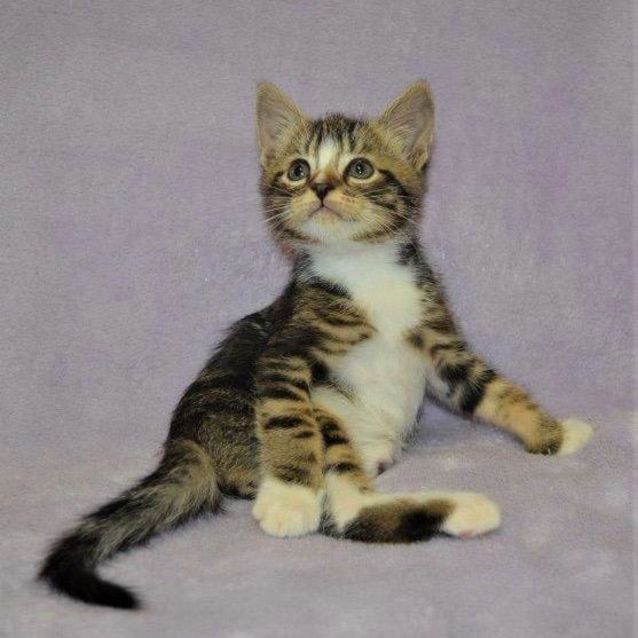 Photo of Wally
