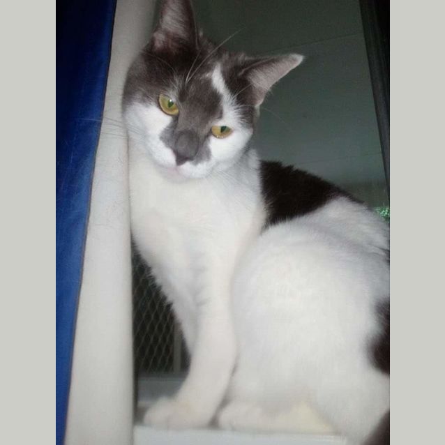 Photo of Milky