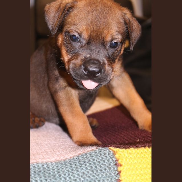 Photo of Pepsi