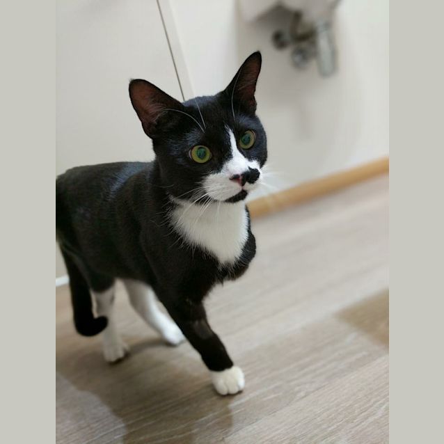 Photo of Sebastian 