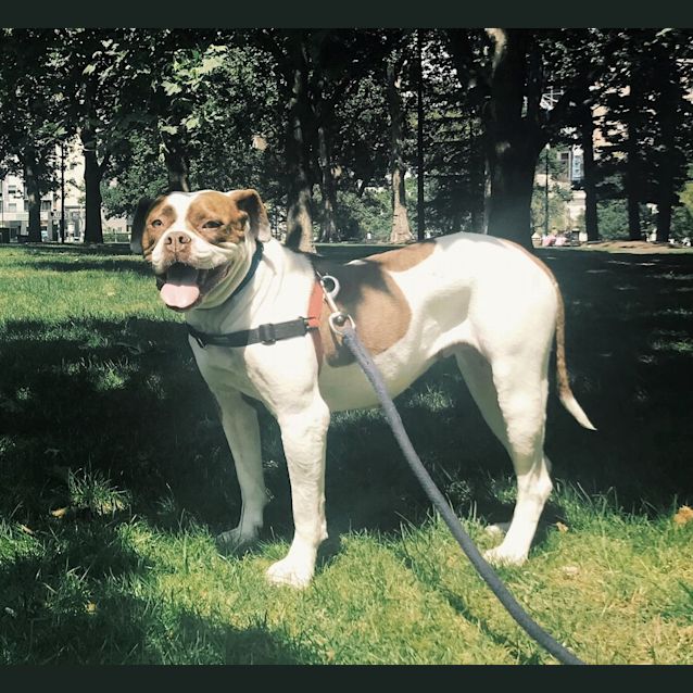 Photo of Cindy 
