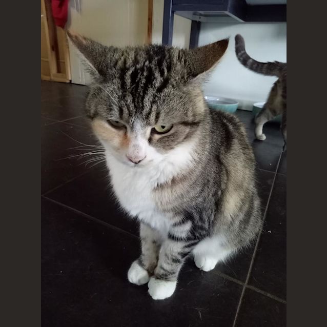 Photo of Isabella