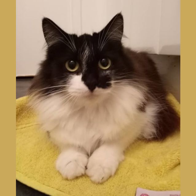 Photo of Roxy
