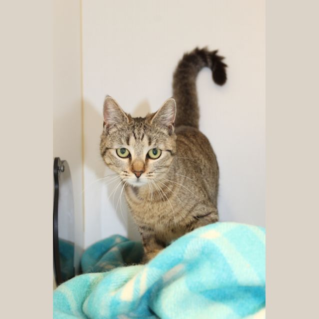 Photo of Jazz