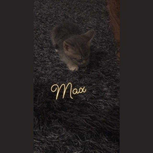Photo of Max 