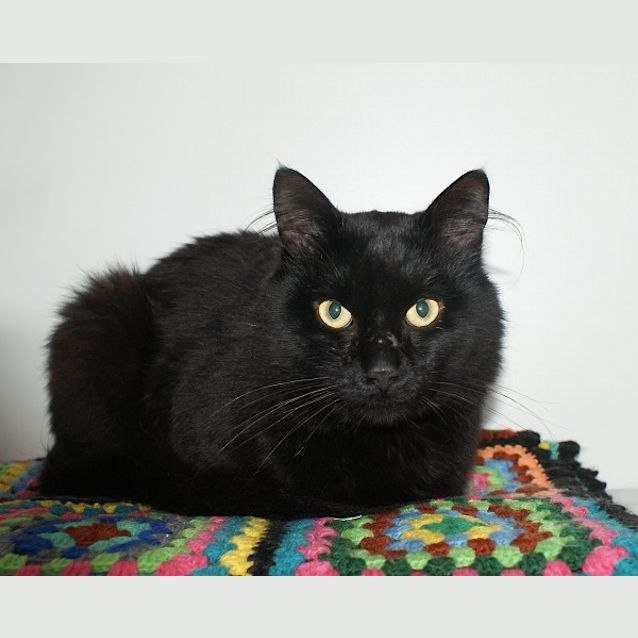 Photo of Derrick Rsta003259