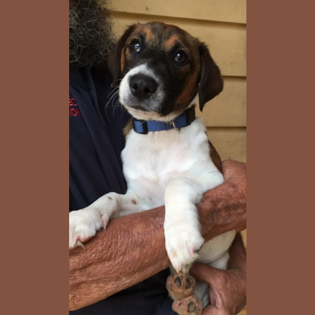 Photo of Mac
