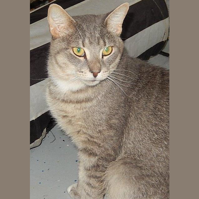 Photo of Grady