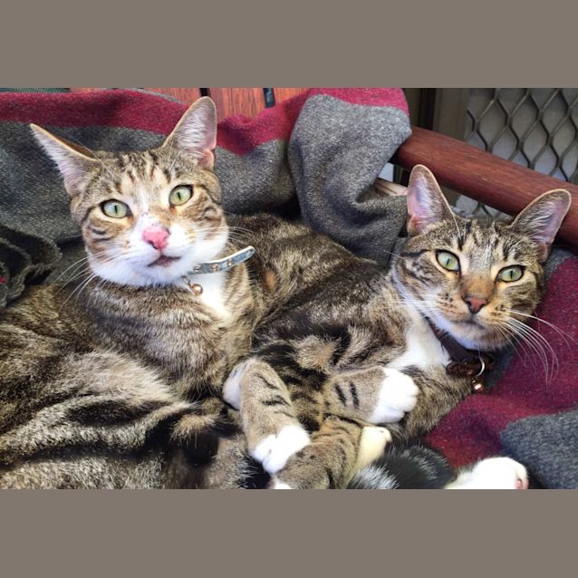 Photo of Jerry And Ben