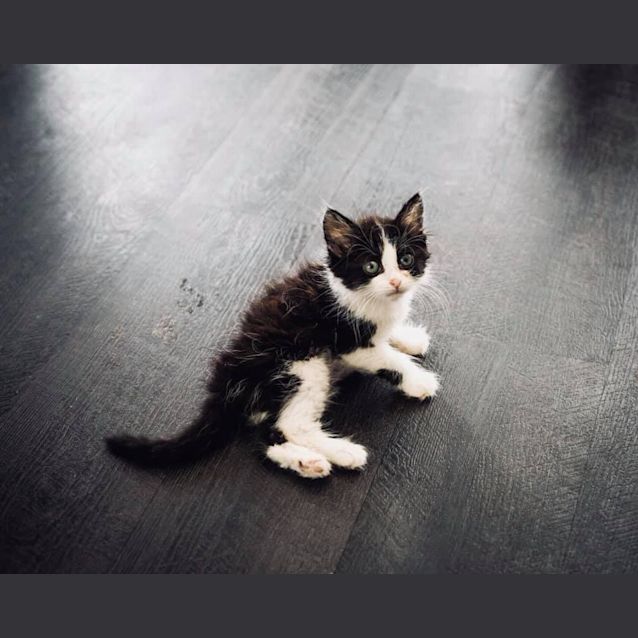 Photo of Miss Francine 