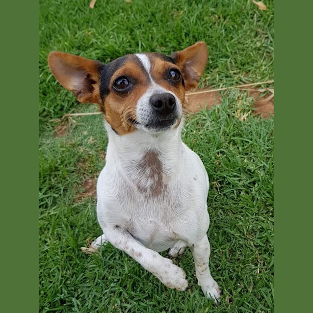 Photo of  Moe  ** On Trial **