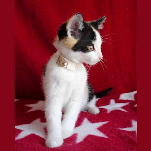 Photo of Jeanie