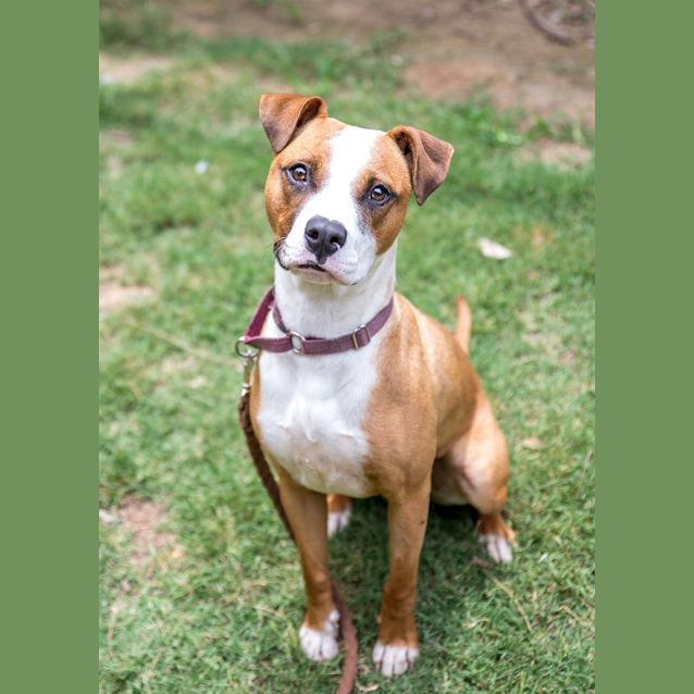 Photo of Ruby