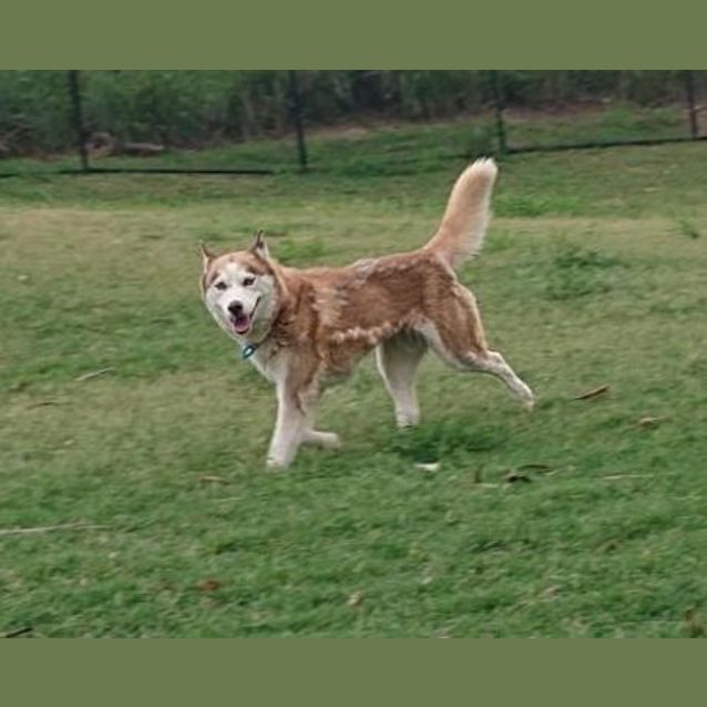 Photo of Keiko 