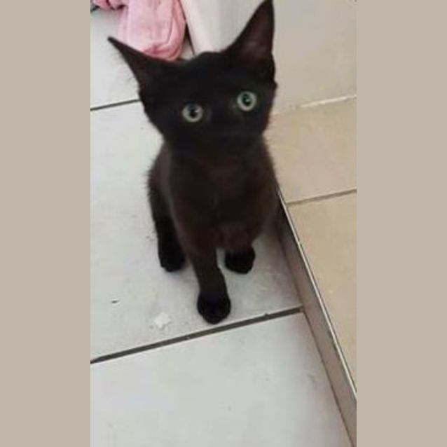Photo of Tiny