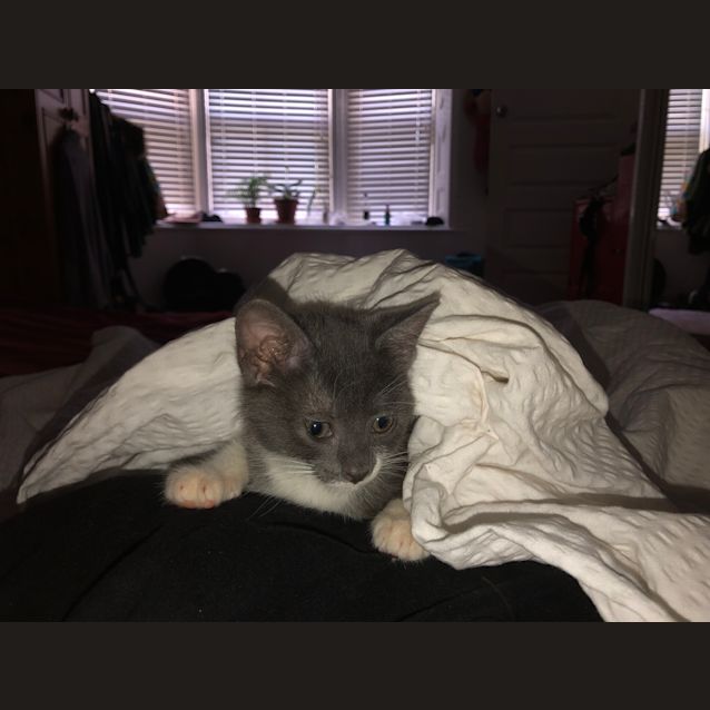 Photo of Harriet