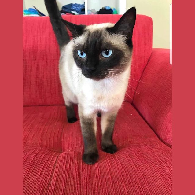 Photo of Mila