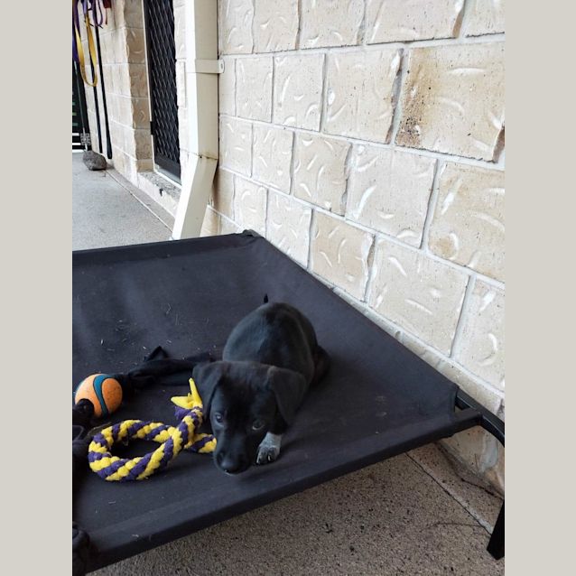 Photo of Bentley 