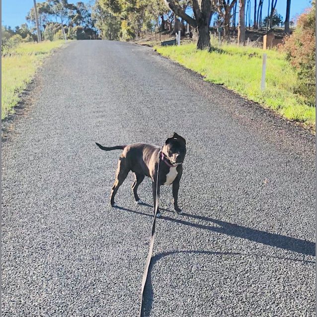 Photo of ⭐️pepper⭐️