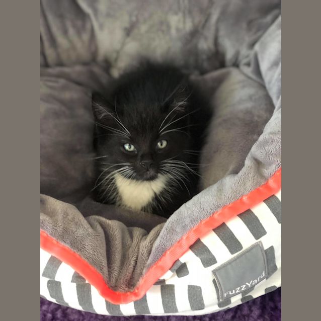 Photo of Charles And Walter