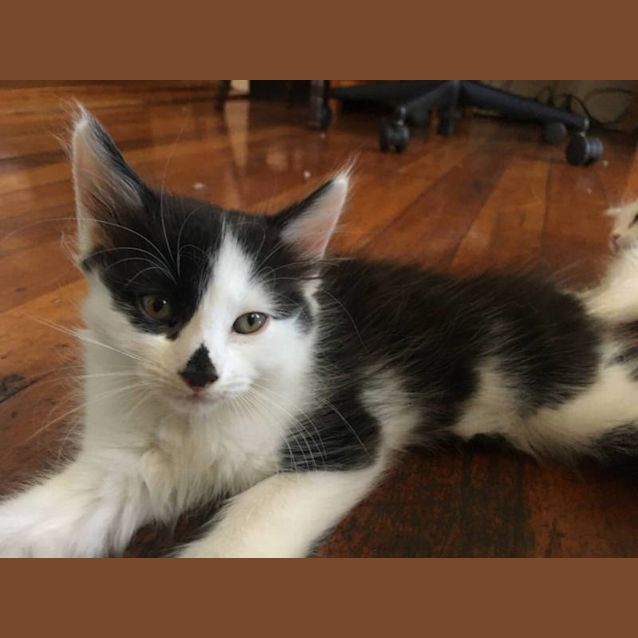 Photo of Percy