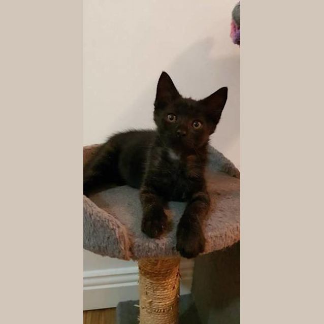 Photo of Margot