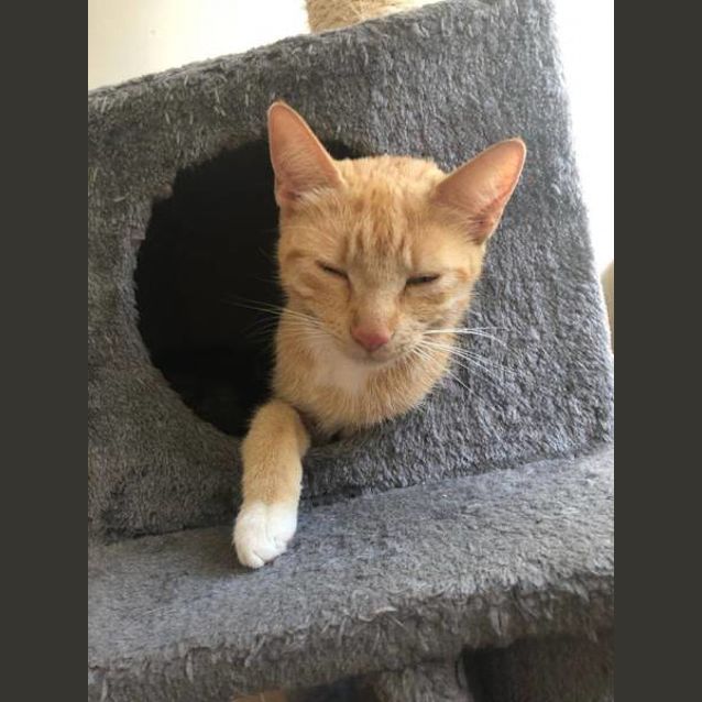 Photo of Rosie