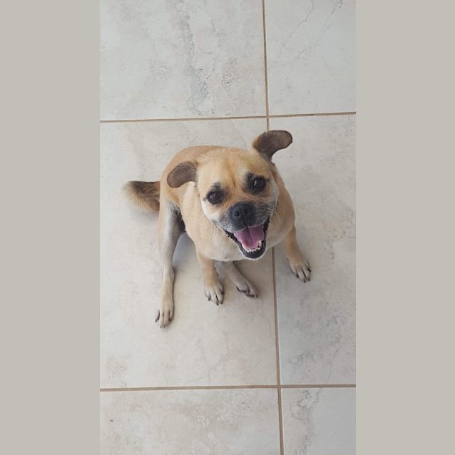 Photo of Marilyn Monroe 