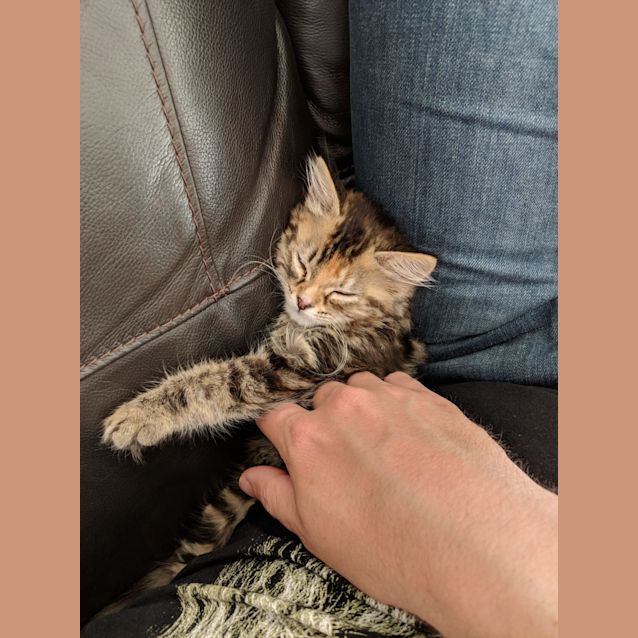 Photo of Monster
