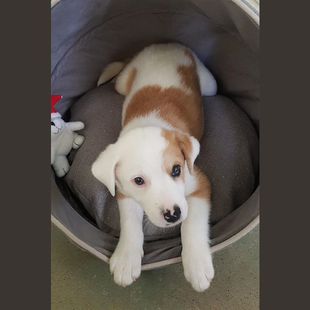 Photo of Jax
